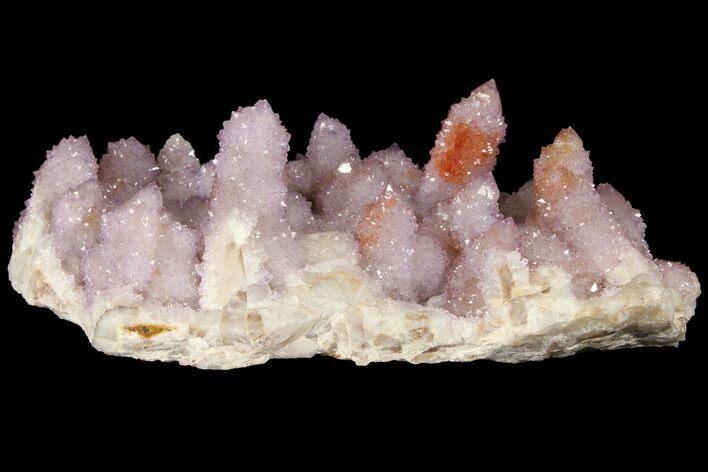 Cactus Quartz (Amethyst) Crystal Cluster - South Africa #94327